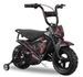 Moto électrique avec roues stabilisatrices Flee 300W 24V noir - Photo n°1