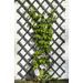 Nature Treillis de jardin 50x150 cm bois anthracite - Photo n°1