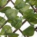 Nature Treillis de jardin avec feuilles vertes de laurier 90x180 cm - Photo n°3