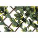 Nature Treillis de jardin troène de Californie feuilles vertes/jaunes - Photo n°3