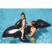 orque gonflable chevauchable avec poignées 2.03x1.02m - Photo n°3
