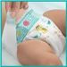 PAMPERS Baby-Dry Taille 4+ - 84 Couches - Photo n°6
