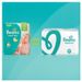 PAMPERS Baby Dry Taille 4+ - 9 a 18kg - 152 couches - Format pack 1 mois - Photo n°5