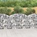 Panier de gabions arqué 150x30x100/120 cm Fer galvanisé - Photo n°1