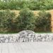 Paniers à gabions arqués 10 pcs 200x30x40/60 cm Fer galvanisé - Photo n°1