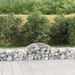 Paniers à gabions arqués 10 pcs 200x50x40/60 cm fer galvanisé - Photo n°1