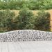 Paniers à gabions arqués 10 pcs 400x30x40/60 cm Fer galvanisé - Photo n°1