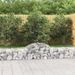 Paniers à gabions arqués 11 pcs 200x30x40/60 cm Fer galvanisé - Photo n°1