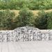 Paniers à gabions arqués 11 pcs 300x30x60/80 cm Fer galvanisé - Photo n°1