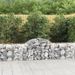 Paniers à gabions arqués 13 pcs 200x50x60/80 cm Fer galvanisé - Photo n°1