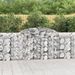 Paniers à gabions arqués 13 pcs 300x30x100/120 cm fer galvanisé - Photo n°1