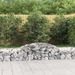 Paniers à gabions arqués 13 pcs 300x50x40/60 cm fer galvanisé - Photo n°1