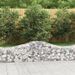 Paniers à gabions arqués 15 pcs 200x50x40/60 cm fer galvanisé - Photo n°1