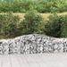 Paniers à gabions arqués 20 pcs 400x50x60/80 cm Fer galvanisé - Photo n°1