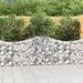 Paniers à gabions arqués 5 pcs 200x30x80/100 cm Fer galvanisé - Photo n°1