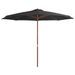 Parasol avec mât en bois 350 cm Anthracite - Photo n°1