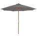 Parasol d'extérieur avec mât en bois 300 cm Anthracite - Photo n°1