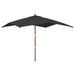 Parasol de jardin avec mât en bois noir 300x300x273 cm - Photo n°1