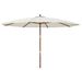 Parasol de jardin avec mât en bois sable 400x273 cm - Photo n°2