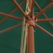 Parasol de jardin avec mât en bois vert 400x273 cm - Photo n°6