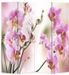 Paravent décoratif imprimé 4 volets bois Flowers - Photo n°4