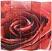 Paravent décoratif imprimé 5 volets bois et tissu Roses - Photo n°1