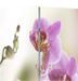 Paravent décoratif imprimé 5 volets bois Flowers - Photo n°3