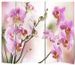Paravent décoratif imprimé 5 volets bois Flowers - Photo n°4