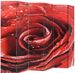Paravent décoratif imprimé 6 volets bois et tissu Roses - Photo n°3