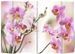 Paravent décoratif imprimé 6 volets bois Flowers - Photo n°4