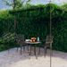 Pergola de jardin Marron antique 4x3x2,5 m Fer - Photo n°1