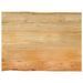 Plateau de table 70x60x2,5 cm live edge bois massif manguier - Photo n°1