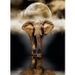 PUZZLE 1000 pieces - L'Elephant - Photo n°2