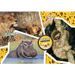 Puzzle Clementoni - National Geographic Kids - 104 pieces - Sauvage - Photo n°5