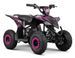 Quad 1000W 36V VOLT 6