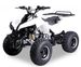 Quad 125cc automatique Warrior RG e-start 8