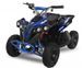 Quad électrique de luxe 1060W 6