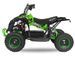 Quad électrique de luxe 1060W 6