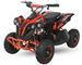 Quad électrique de luxe 1060W 6
