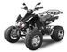 Quad Homologué 250cc EGL Speedbird Noir - Photo n°1