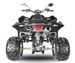 Quad Homologué 250cc Mad Max Offroad Noir - Photo n°1