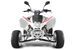 Quad Homologué EGL 300cc MadMax Blanc - Photo n°5