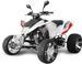 Quad Homologué EGL 300cc MadMax Blanc - Photo n°1