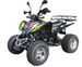 Quad Homologué route 250 cc Shineray STXE Noir - Photo n°1