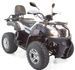 Quad Shineray utilitaire 200cc automatique blanc - Photo n°4