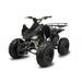 Quad Speedy 250cc ACP 10 Noir Manuel 4 vitesses - Photo n°1