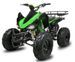 Quad Speedy 250cc Vert - Photo n°1