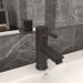 Robinet de lavabo de salle de bain Gris 130x176 mm - Photo n°1