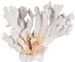 Sculpture corail résine blanc Iluna - Photo n°1
