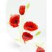 Service de Table 18 pieces en porcelaine Coquelicot rouge et blanc - Photo n°3